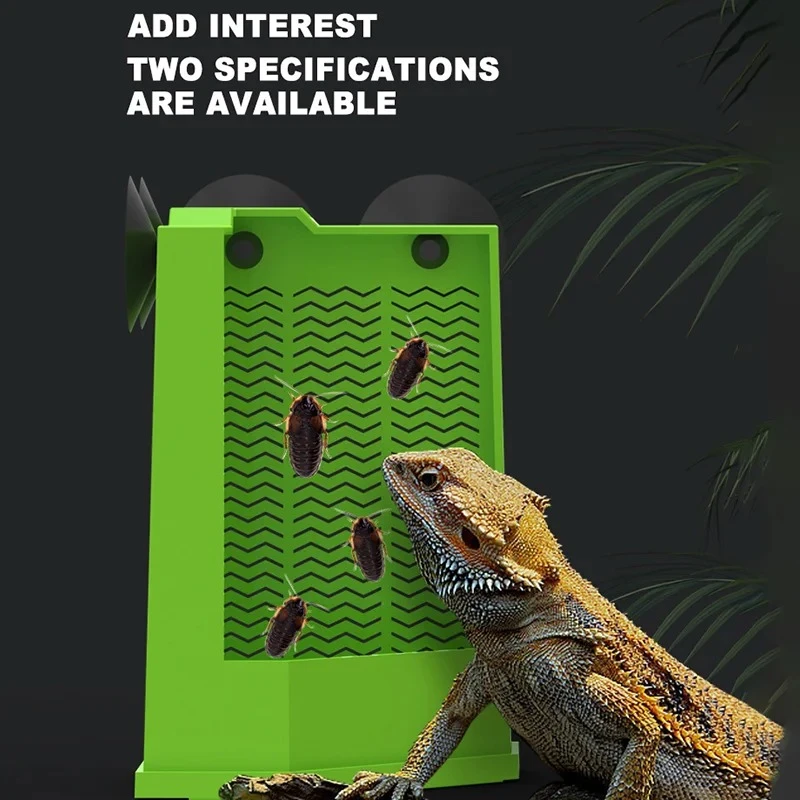 Gecko Food Bowl Reptile Feeding Bowls Reptile Dish Suction Cup Gecko Food Dish Reptile Bowl Terrarium Feeding Dish Anti-Escape