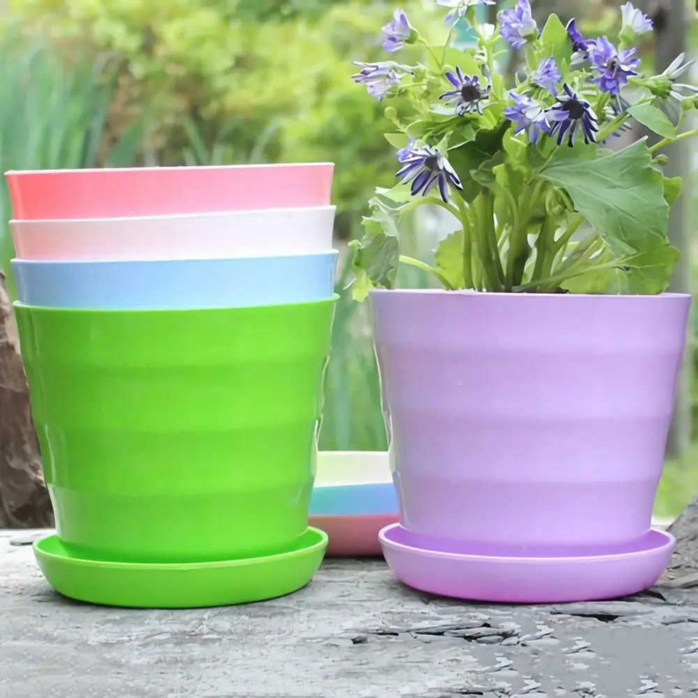 Colorful Garden Succulent Plant Flowerpot Mini Plastic Flower Pot With Trays Hom