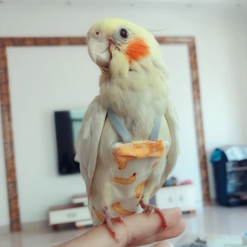 Parrot Diaper with Bowtie Cute Colorful Fruit Floral Cockatiel Pigeons Small Med