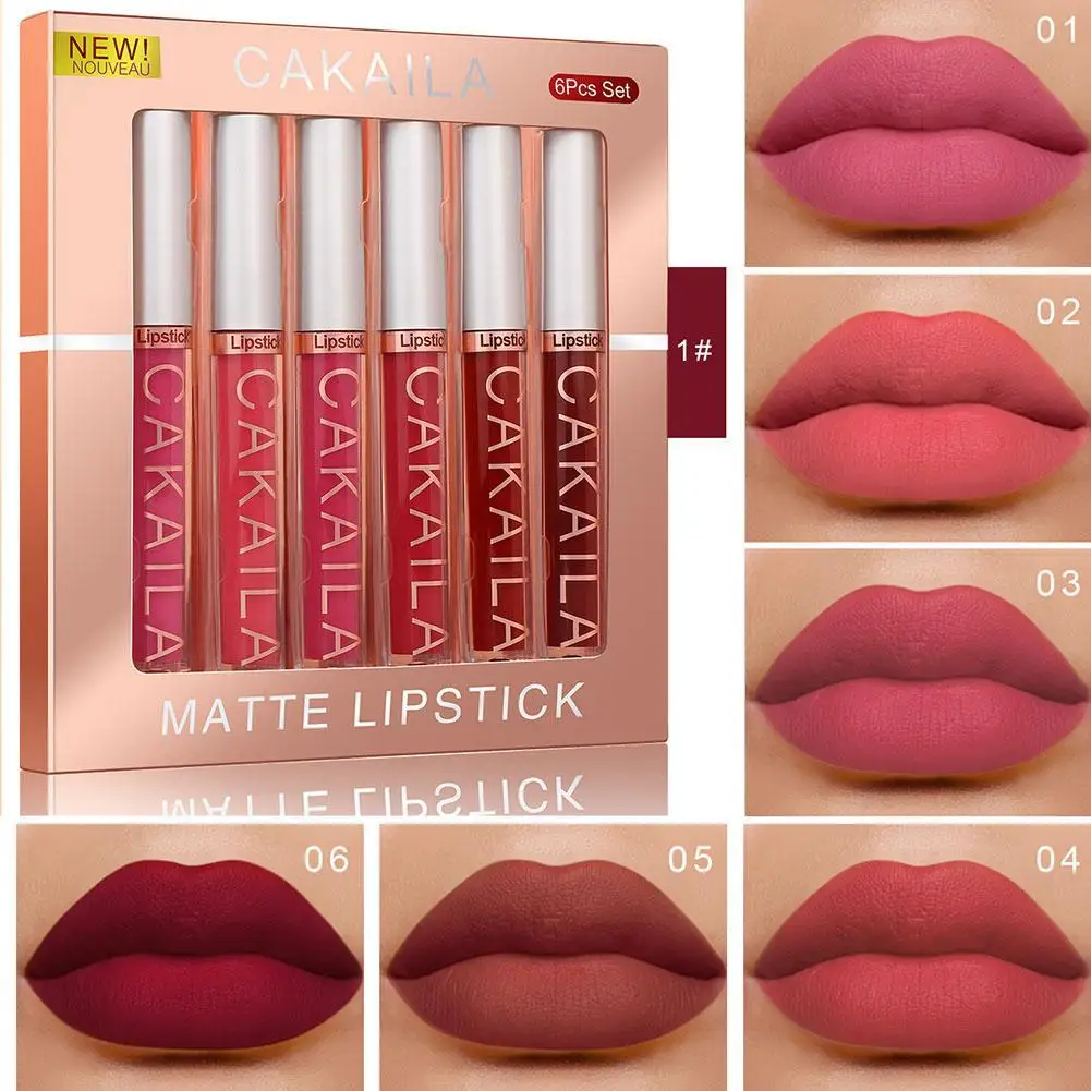 6Pcs Makeup Lipstick Set Liquid Velvet Matte Gloss Lip Sexy Red Lipstick Nude Wo